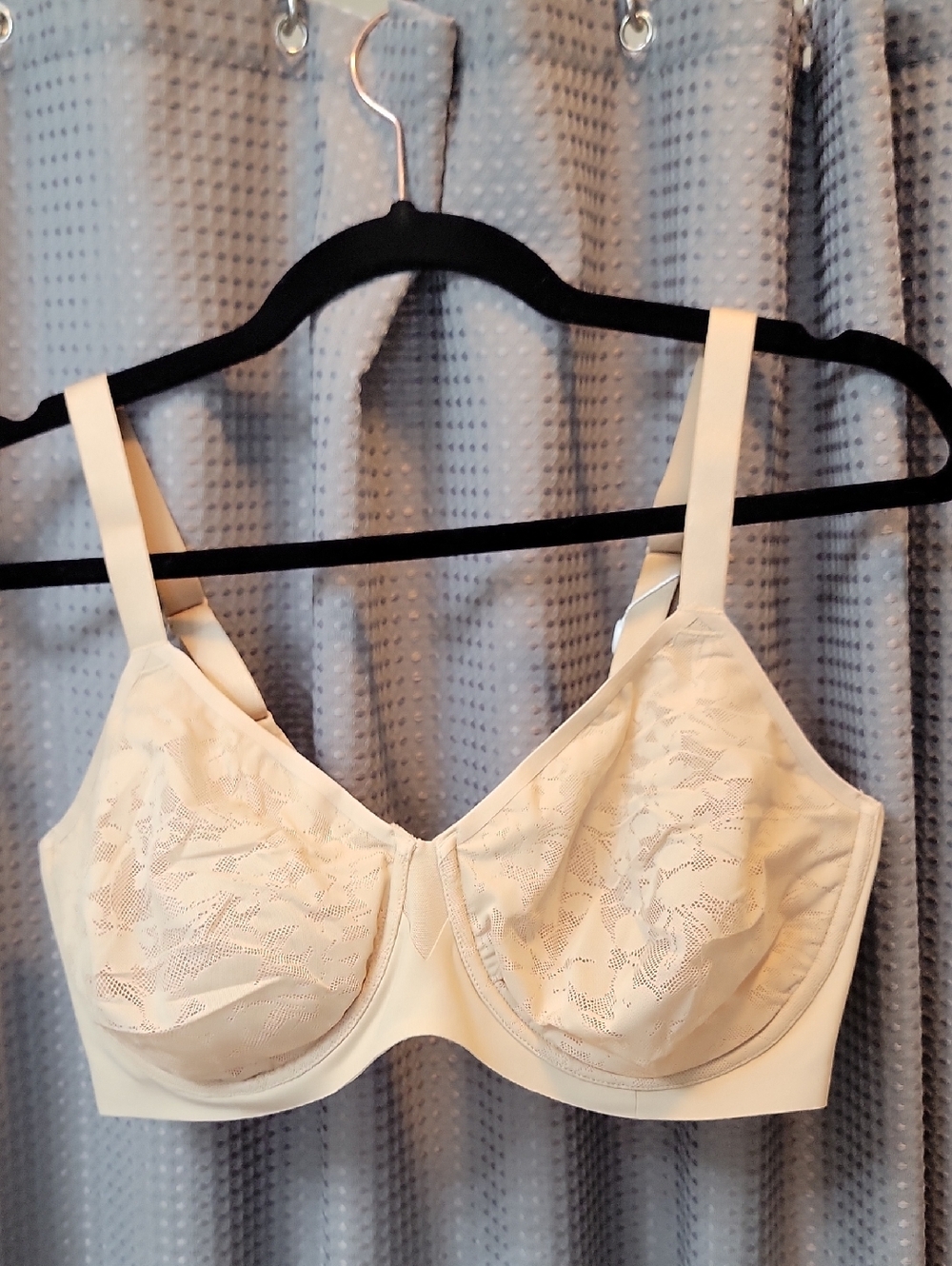 NWT HSAI Lace Bra Size 36DD
